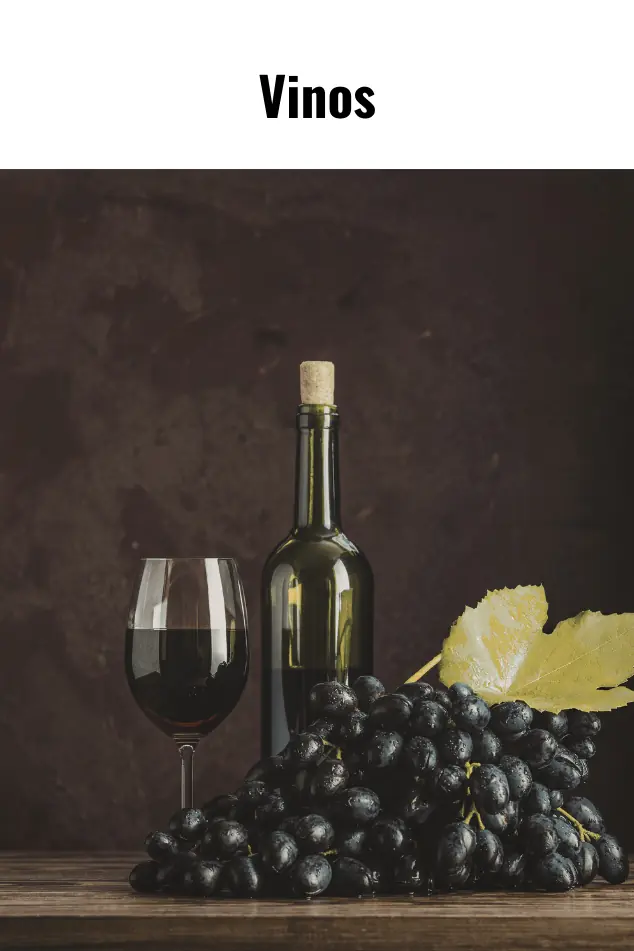 Selección de vinos tintos para maridaje de cortes de carne premium en Regio Beef sur de CDMX.