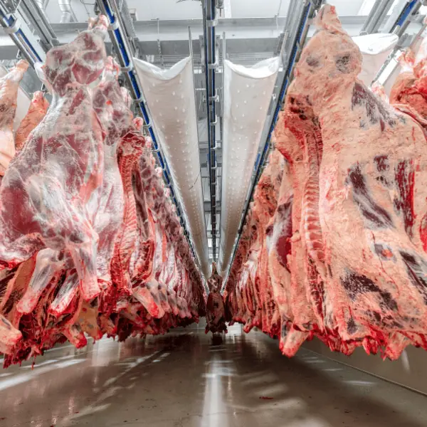 Proveedor de carne al mayoreo para restaurantes y eventos: Cortes de Monterrey en Regio Beef sur de CDMX.